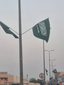 شوارع المنيزلة تتزين بأعلام الوطن احتفالاً باليوم الوطني