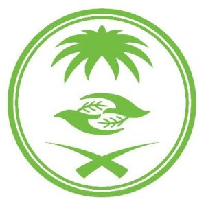 «الغطاء النباتي» يُطلق خدمة إصدار تراخيص التخييم لموسم 2025