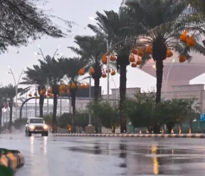 طقس السبت.. أمطار رعدية وسيول وبرد على معظم المناطق