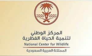 «الحياة الفطرية» توضح أوقات الصيد المسموح بها وتحذر من الصيد ليلًا