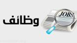 «معادن للذهب» تعلن فتح باب التقديم في برنامج التدريب المنتهي بالتوظيف