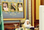 “الشورى”.. مطالبات لـ”الخطوط السعودية” بمراجعة أسعار التذاكر وتقديم تخفيضات للطلاب