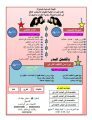 3 دورات للفتيات تنطلق يوم الاربعاء 20شوال
