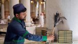 تطهير المسجد النبوي بأكثر من 600 معدة يوميًّا