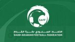 لجنة الاحتراف لكرة القدم…تعتمد فترات وآلية التسجيل لموسم 2024-2025