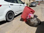تلف ونقص في حاويات القمامة بالشارع العام وأحياء المنيزلة