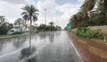 بالفيديو.. حالة مطرية غزيرة على منطقة الحدود الشمالية