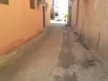 أهالي المنيزلة .. ما زالوا ينتظرون رصف شوارع وممرات الأحياء القديمة