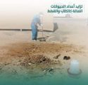 أمانة الأحساء.. تحذر من 4 مخاطر لإلقاء بقايا الطعام في الطريق