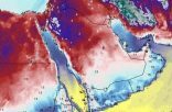 “الجمعان”: أقوى موجة باردة هذا العام تضرب معظم مناطق المملكة بدايةً من اليوم‎