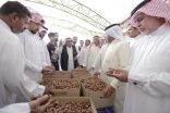 انطلاق مزاد موسم صرام تمور الأحساء 2020.. السبت