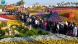 انطلاق مهرجان الزهور بمدينة جواثا السياحية بالأحساء