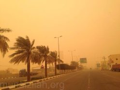 استشاري: الغبار يزيد من نوبات الربو الحاد والتهاب الجيوب الأنفية