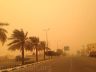 استشاري: الغبار يزيد من نوبات الربو الحاد والتهاب الجيوب الأنفية