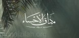 الفيلم السعودي “مذاق الأحساء” لـ “روح السعودية” يفوز بجائزة عالمية (فيديو)